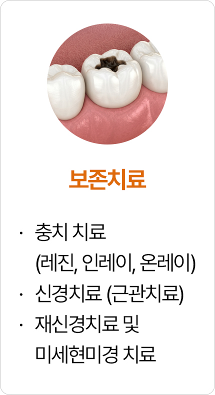 보존치료
