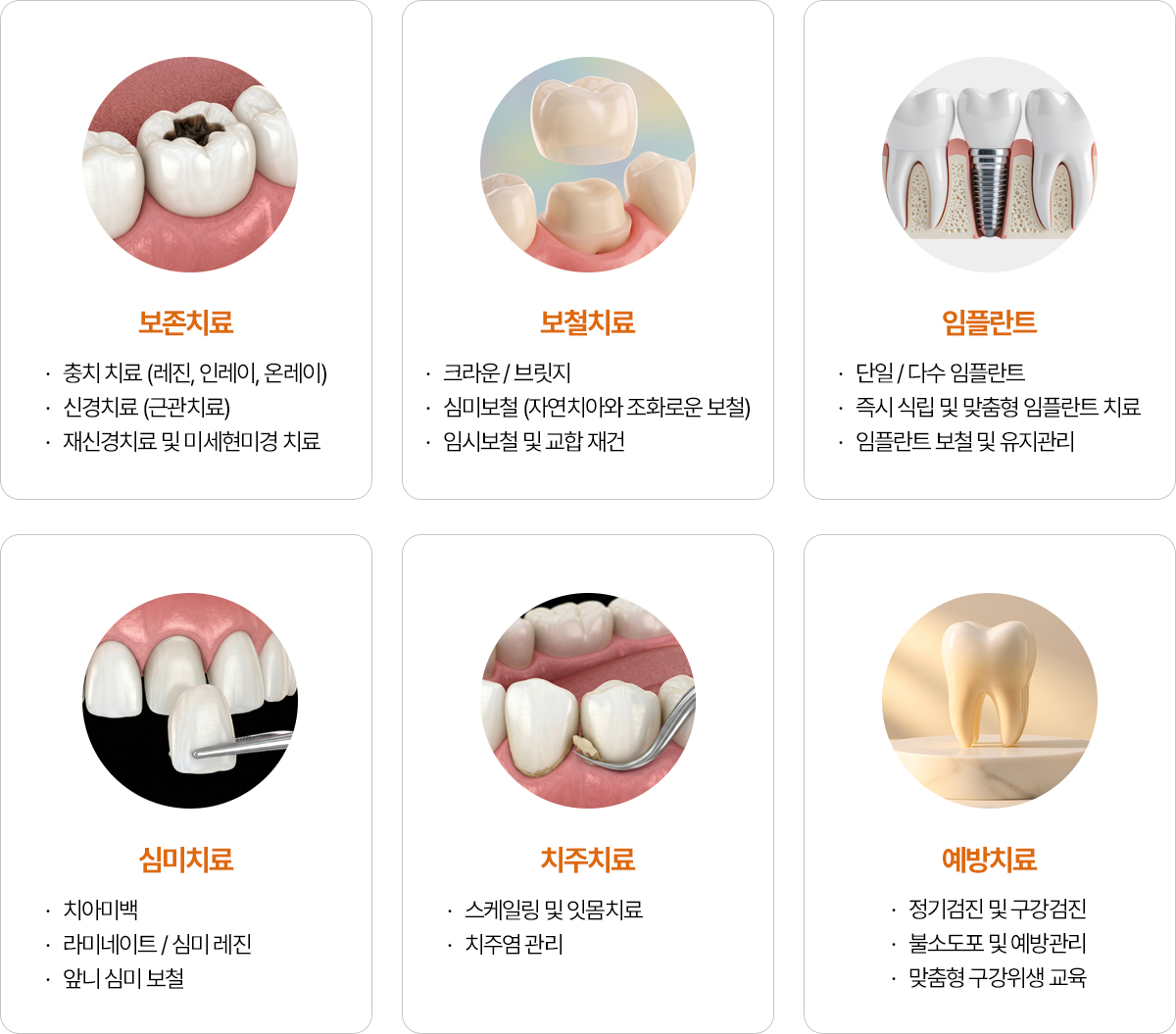 진료과목